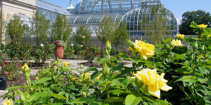 2100x1575 Desktop Wallpaper: The United States Botanic Garden - Page 6