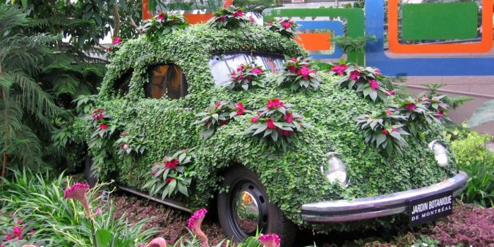 1130x847 Green and pink car in the botanical garden