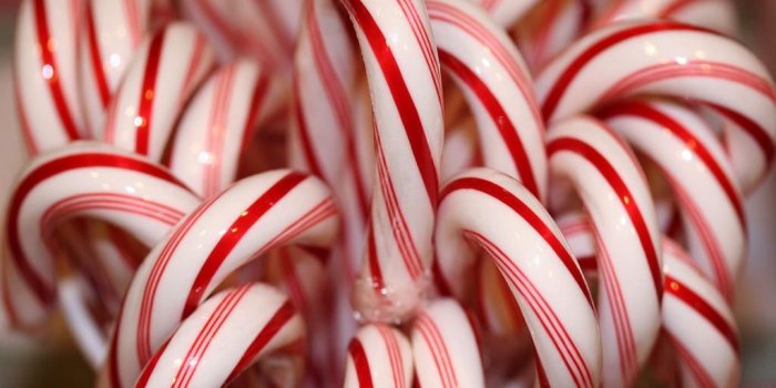 1024x768 Christmas Candy Cane Wallpaper Download | Christmas Candy Canes