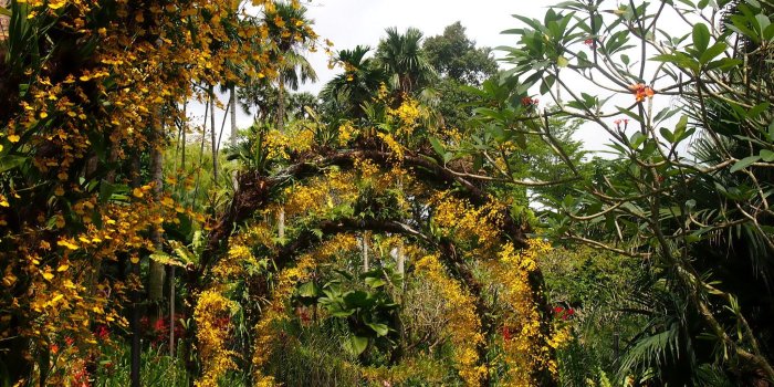 2048x1536 Black and yellow garden arch, Singapore, botanic gardens HD