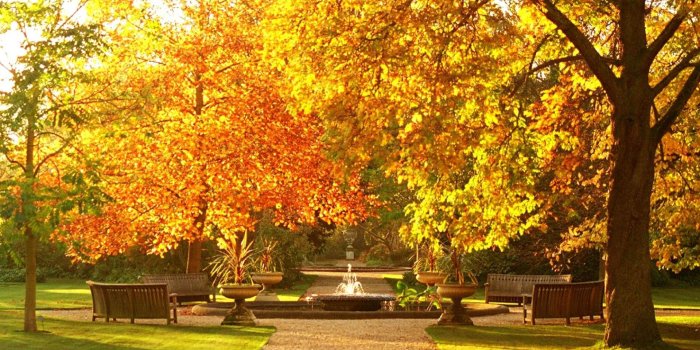 1920x1080 Beautiful, Botanic, Garden, Autumn, Wallpapers, Widescreen