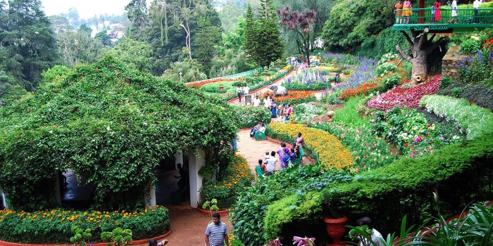 1500x1004 Government Botanical Garden Ooty - Ooty Government Botanical Garden