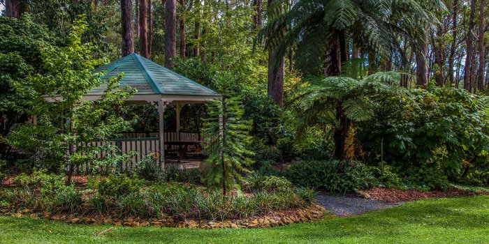 3840x2400 Wallpaper Australia Mount Lofty Botanic Garden Nature 3840x2400