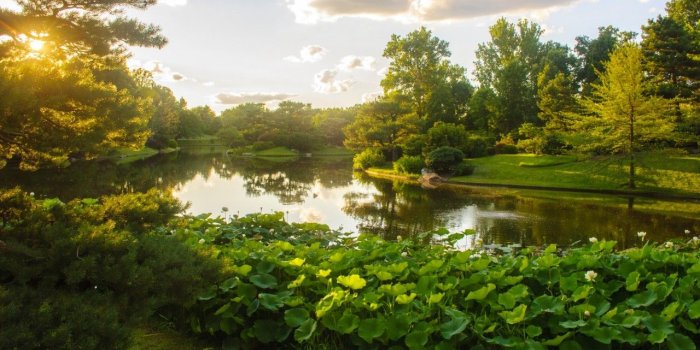 1280x800 Missouri Botanical Garden Usa wallpapers | Missouri Botanical Garden