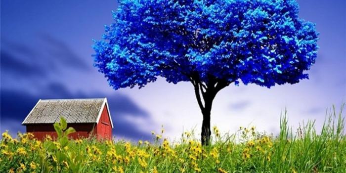 1440x810 Free Wallpaper For Android Tablet on MarkInternational.info