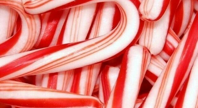 1024x1818 christmas candy candycane wallpaper background candycan...