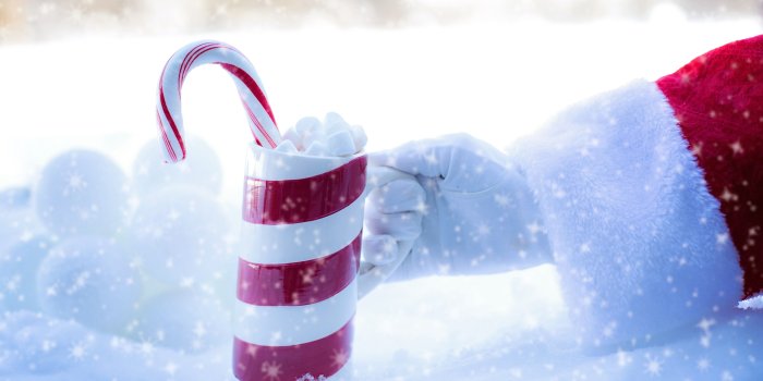 5550x3700 Person in santa costume holding ceramic mug with candy cane during