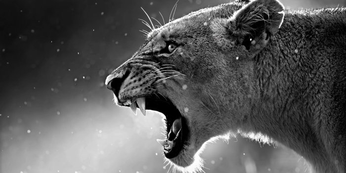 3840x2160 4K Wallpaper for PC (45+ images)