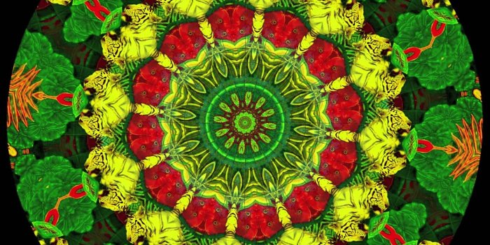 1280x720 Animated Weed Wallpaper Marijuana HD Wallpaper WallpaperSafari