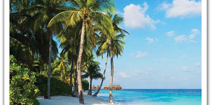 1500x1245 JP London POSLT2090 uStrip Lite Removable Wall Decal Sticker Mural