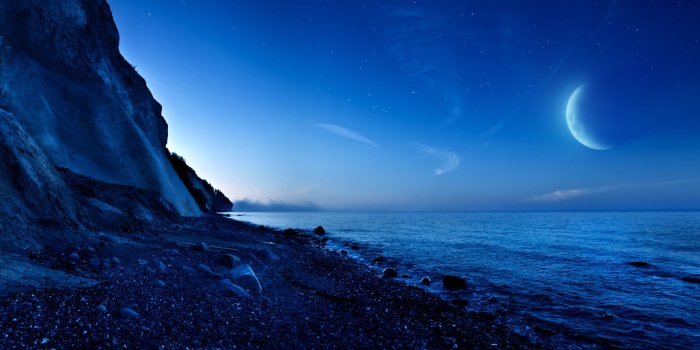 1920x1080 Free download Tropical Oasis Wallpaper Download hd wallpapers