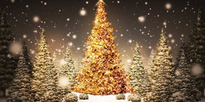 1500x938 67+ Christmas wallpapers HD free Download