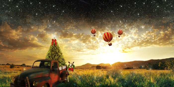 1920x1200 Grass, Christmas Tree, Tree, Nature, Christmas 16:10 Wallpaper