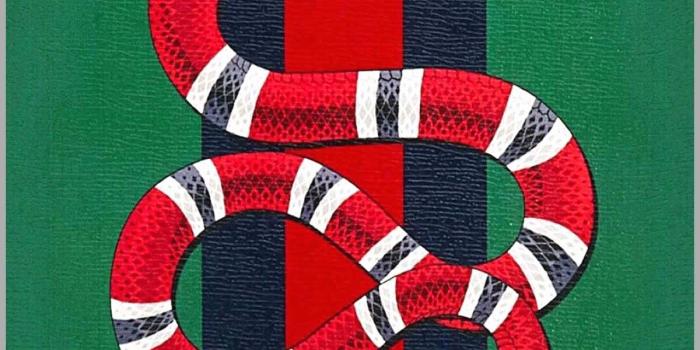 1200x2133 67 Beautiful Pics Of Tay K Wallpaper | Best of Wallpaper