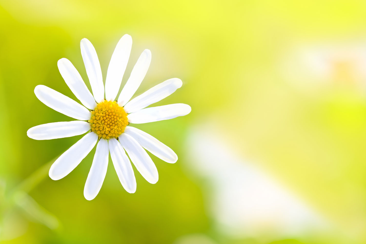 1500x1000 Print a Wallpaper