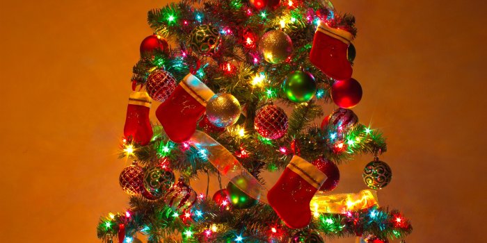 2840x4263 Classic Christmas Show