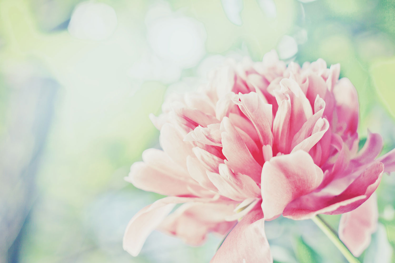 1500x1000 Print a Wallpaper