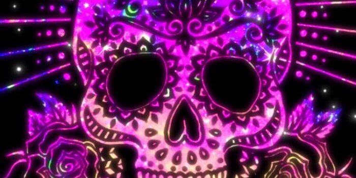 750x1332 Brilliant Skull! | Skulls! in 2019 | Sugar skull wallpaper, Sugar