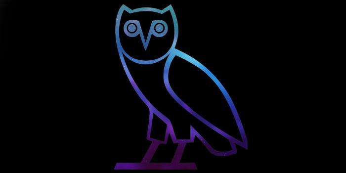 2560x1440 Drake Owl Ovo HD desktop wallpaper : Widescreen : Fullscreen