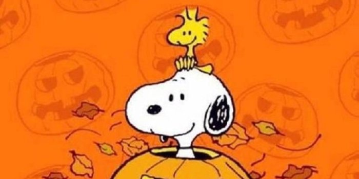 738x1280 Download Snoopy Halloween Wallpaper by zakum1974 - c4 - Free on