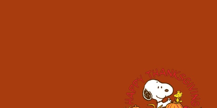 1024x768 77+] Snoopy Halloween Wallpaper on WallpaperSafari