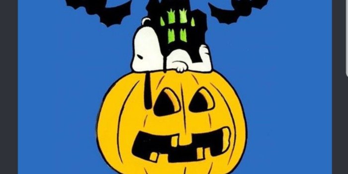 1076x1399 Dee Bird on Charlie Brown and friends | Snoopy halloween