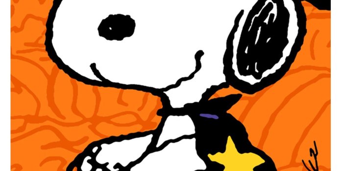 1600x1600 Snoopy Halloween Wallpapers