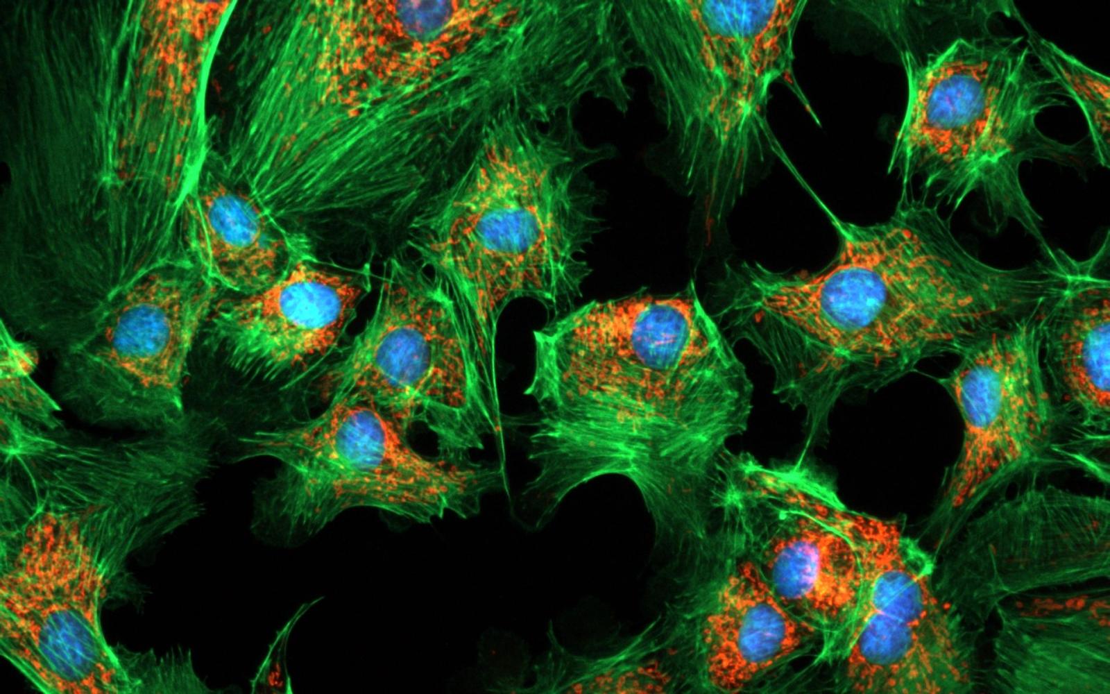 1920x1200 CoolLED | (주) 제이엔옵틱