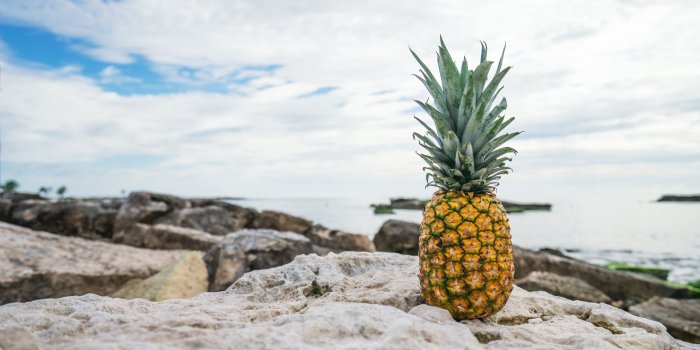 6000x4000 Download wallpaper 6000x4000 pineapple, beach, stones hd background