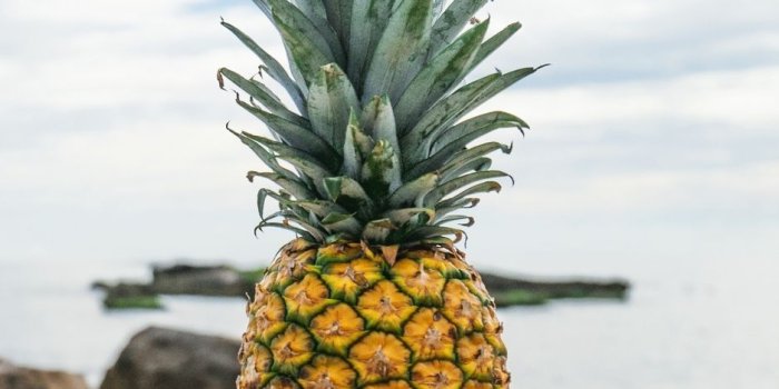 938x1668 Download wallpaper 938x1668 pineapple, beach, stones iphone 8/7/6s/6