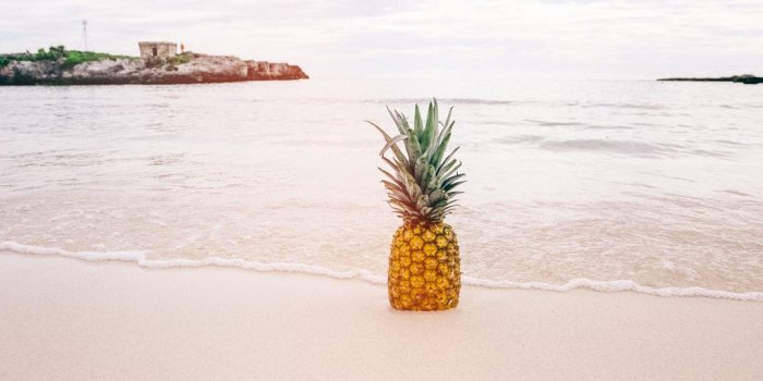 1080x1627 Pineapple At The Beach Pictures | Download Free Images on Unsplash