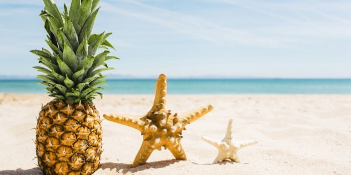 1332x850 Wallpaper sand, sea, beach, summer, stay, star, summer, pineapple