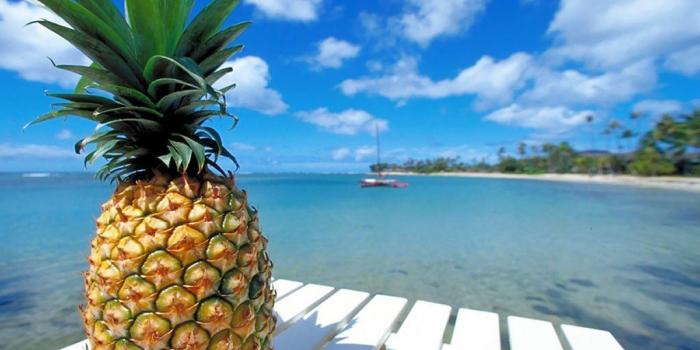 1024x768 Pineapple On A Beach (#44785) - HD Wallpaper Download