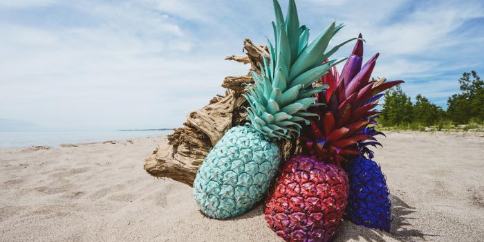 6000x4000 30+ Colorful Pineapples Beaches Wallpapers - Download at WallpaperBro