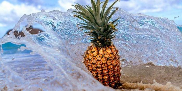 736x1104 Hawaii's Famous Pineapples | Photolandscape | Pozadí v telefonu