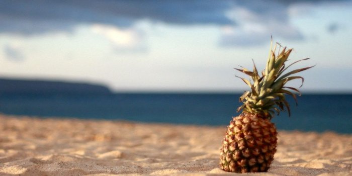 1024x768 Pineapple Beach | Taken about 10 minutes before sunset on Bi…
