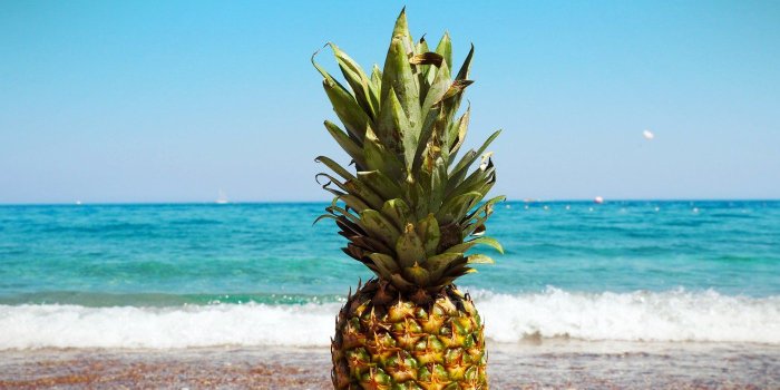 1400x1050 Pineapple on the beach