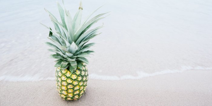 6000x4000 pineapples, Beach Wallpapers HD / Desktop and Mobile Backgrounds