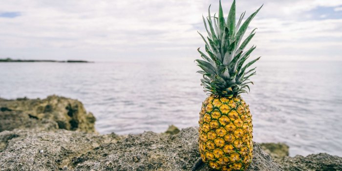3840x2560 3013581 beach, coastline, fruit, pineapple, reef, rock, rocky, sea