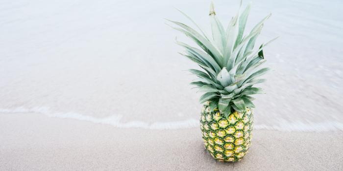 6000x4000 HD wallpaper: pineapples, beach | Wallpaper Flare