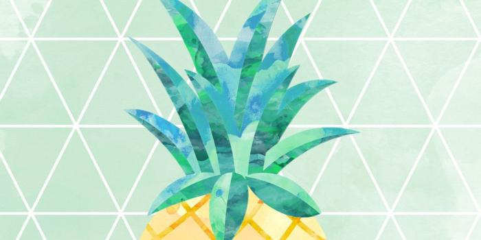 1242x2208 Pineapple Wallpapers (62+ images)