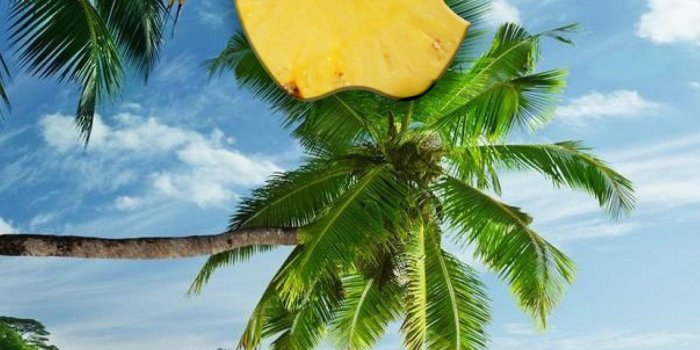 1080x1920 iPhone 7 Plus wallpapers Pineapple Beach