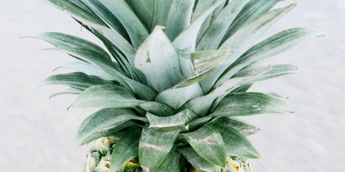 1242x2688 Beach, sea, pineapple, fruit 1242x2688 iPhone XS Max wallpaper