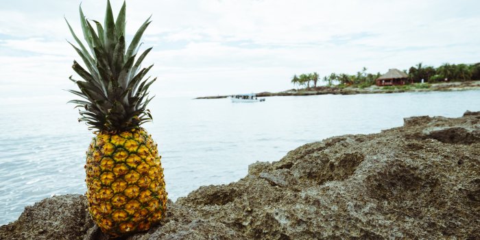 6000x4000 Beach, Boat, Fruit - Free Stock Photo, Image, Wallpaper, HD Picture