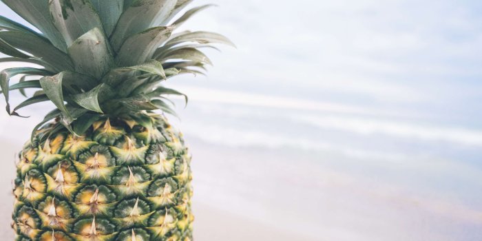 3840x2560 3080087 beach, food, fruit, pineapple, sand, sea, seashore, tropical