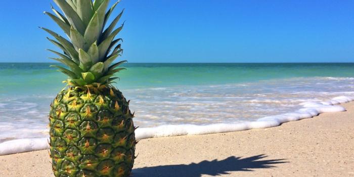 2048x1536 40+ Colorful Pineapple Computer Wallpapers - Download at WallpaperBro