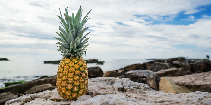 2560x1440 Pineapple Fruit Stones Beach Desktop Wallpapers