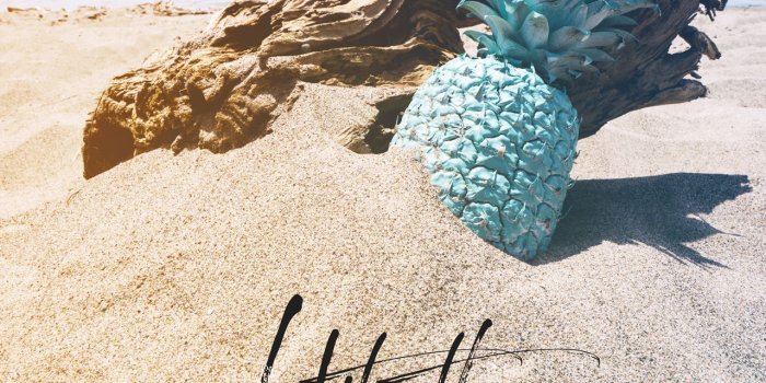 1280x1920 Phone Archives | Pineapple Supply Co.