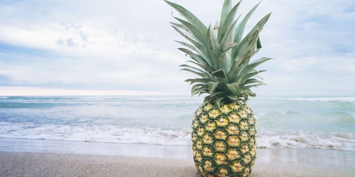 3840x2560 3079872 beach, fruit, lake, ocean, pineapple, sand, summer, summer
