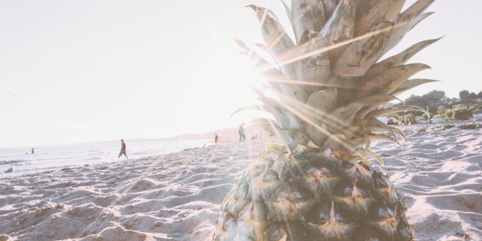 4000x6000 Pineapple In Gray Sand During Daytime - Free Stock Photo, Image